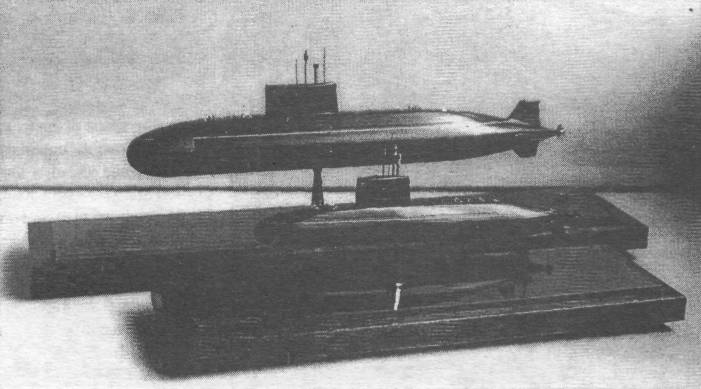 Amur4002.jpg