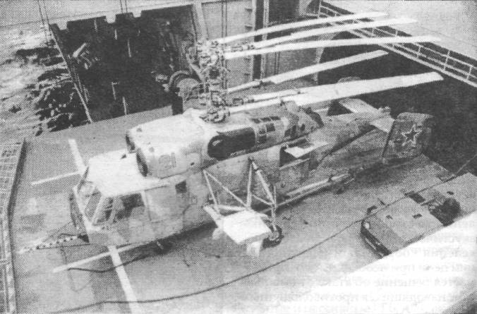 HelFl035.jpg