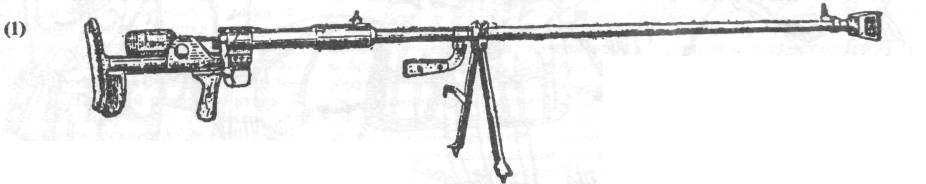 InPt1003.jpg
