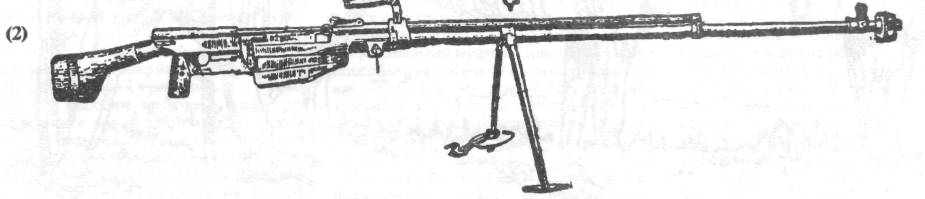 InPt1004.jpg