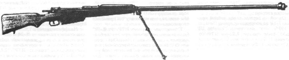 InPt1007.jpg