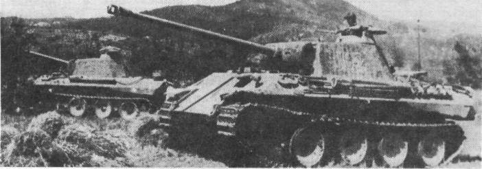 Pz2WW029.jpg
