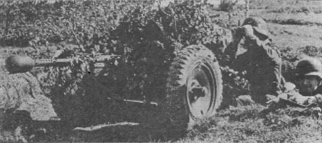 Pzlos011.jpg