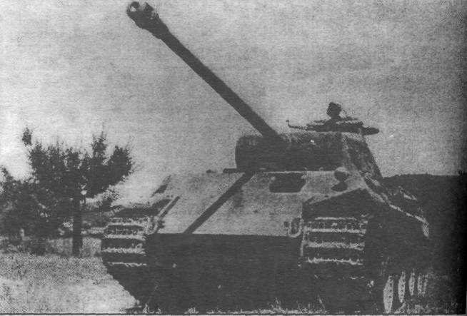 PzvPz005.jpg