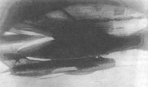 Tu_95003.jpg