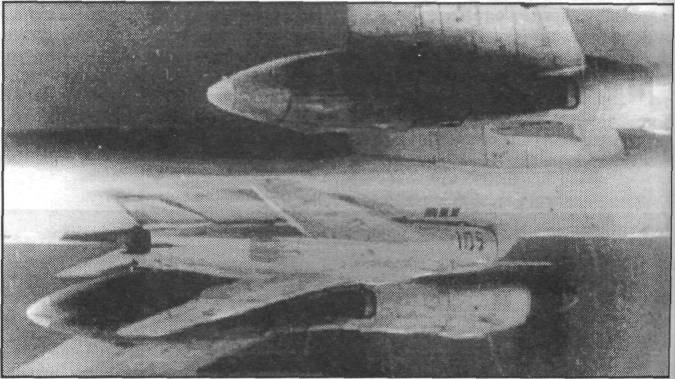 Tu_95005.jpg