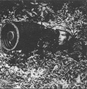 WtREB011.jpg