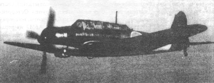 YpAvi003.jpg