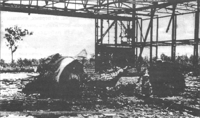 YpAvi007.jpg