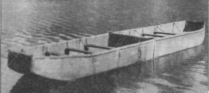 AmfRS033.jpg