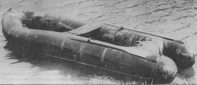 AmfRS035.jpg