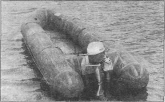 AmfRS037.jpg