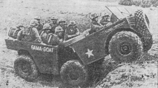 AmfUS039.jpg