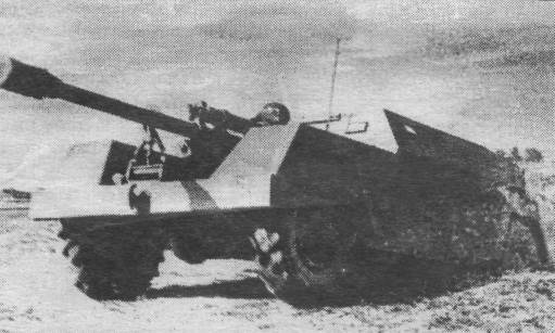 AvGra015.jpg
