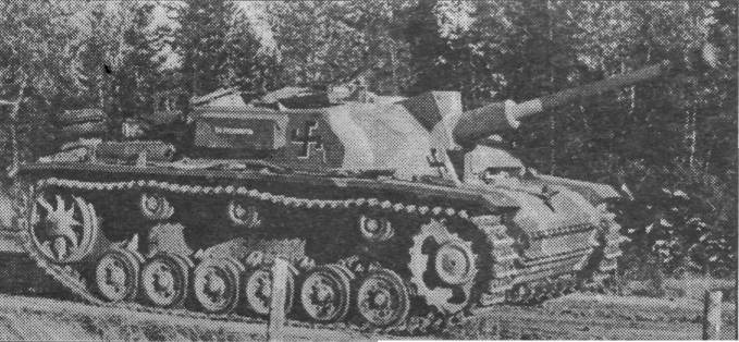 BTFin033.jpg