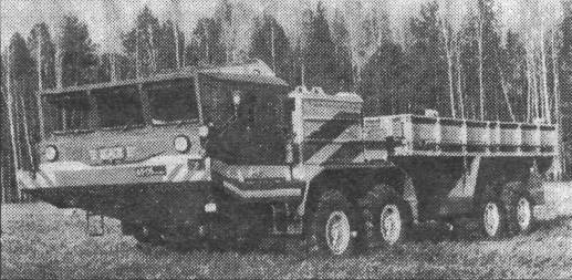 BrAZ026.jpg