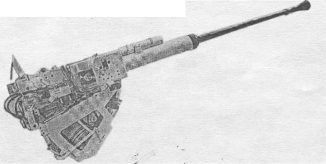 C9040008.jpg