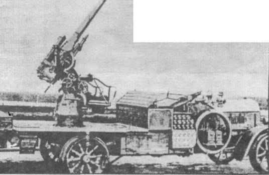 FirZa003.jpg