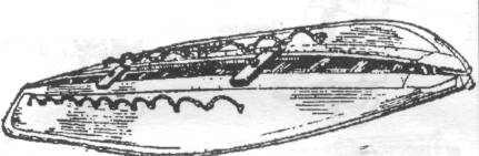 ForKA019.jpg