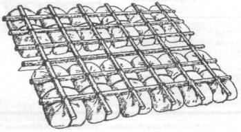 ForKA033.jpg