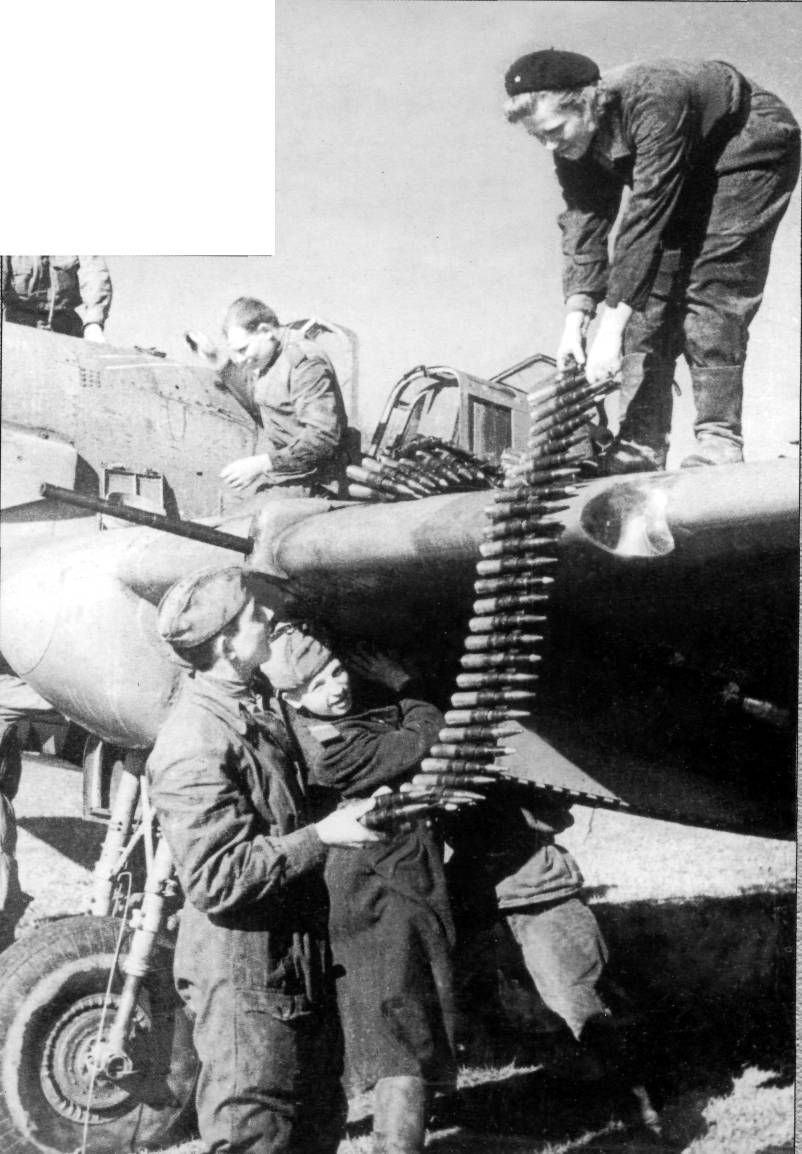 IL2AT003.jpg