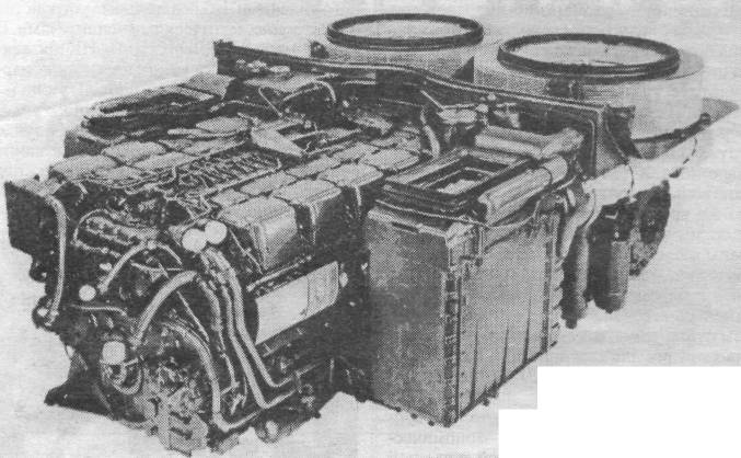 Leo21005.jpg