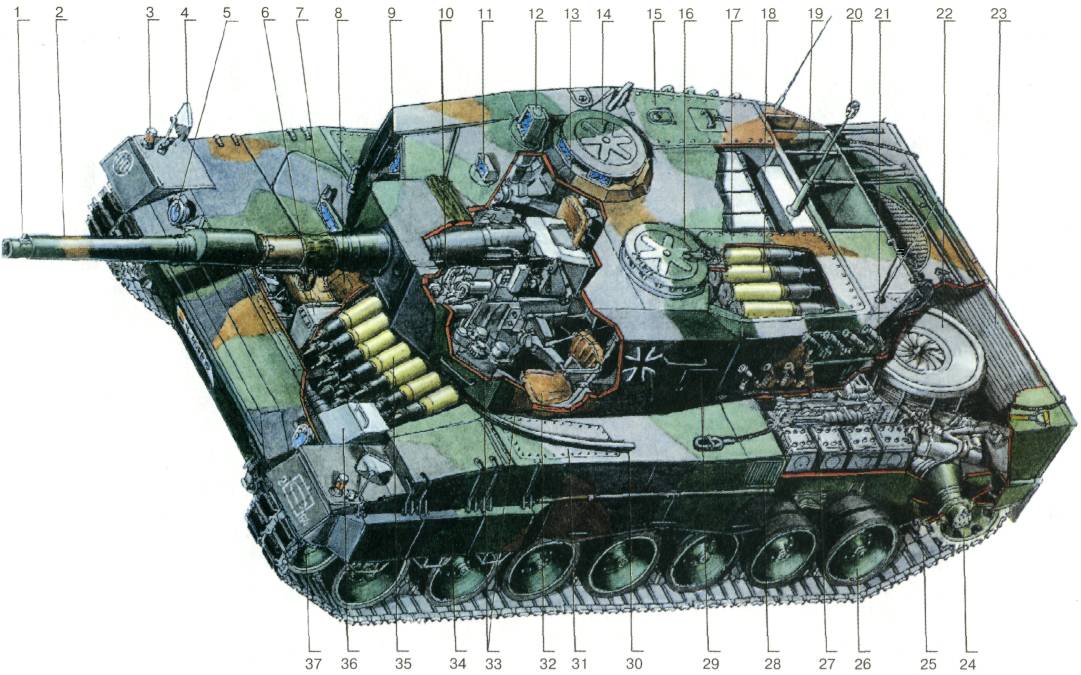 Leo21022.jpg