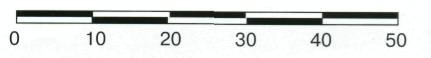 PP2WW045.jpg