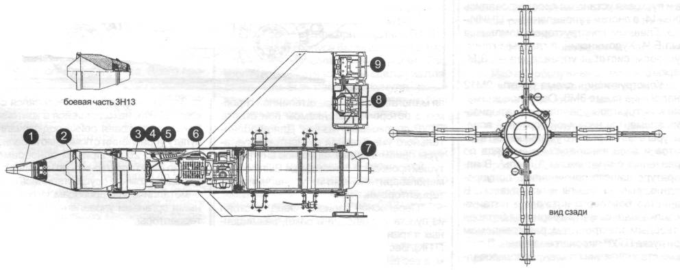 PturR012.jpg