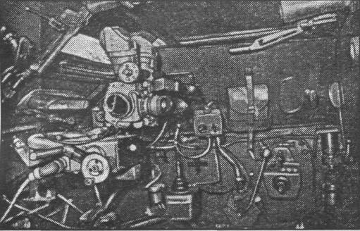 PturR017.jpg