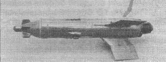 PturR035.jpg