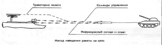 PturR037.jpg