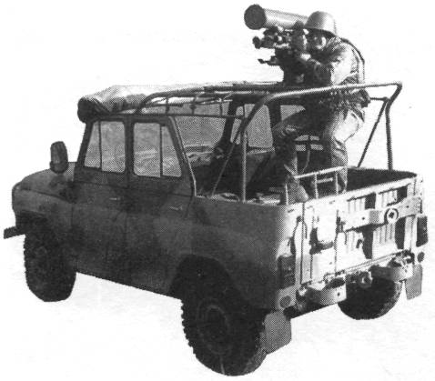 PturR063.jpg