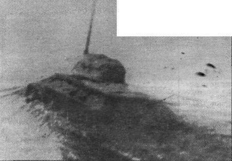 PzUWa024.jpg