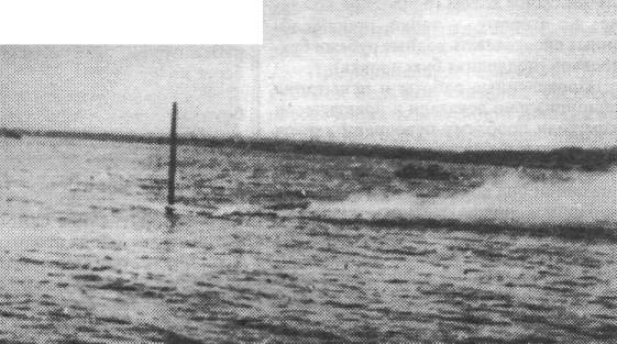 PzUWa025.jpg