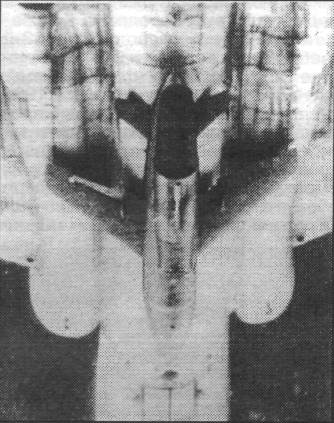 RuK10004.jpg