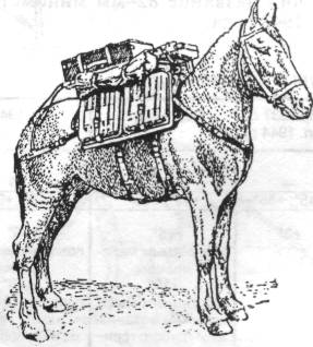 RuMim055.jpg