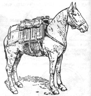 RuMim056.jpg