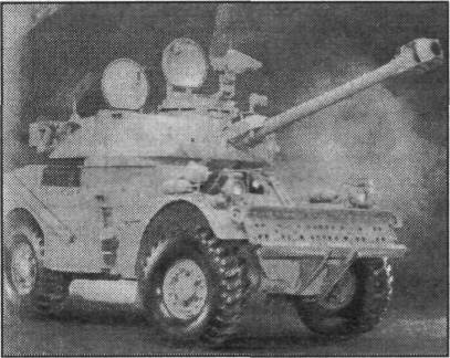 SKBT173.jpg