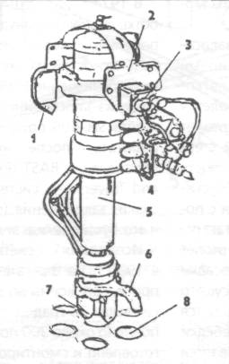 SeaHL037.jpg