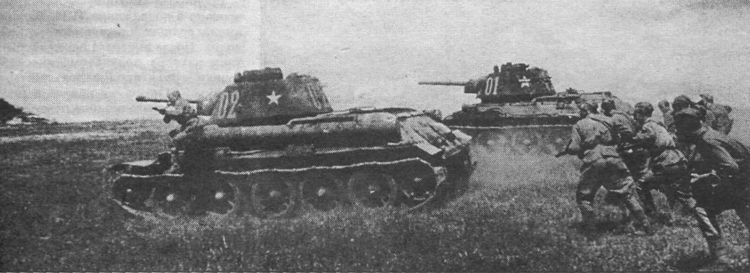 T34111.jpg