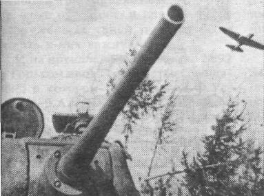 T34118.jpg