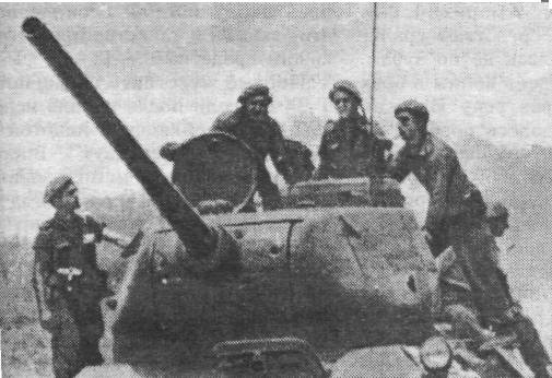 T34173.jpg