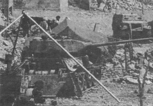 T34174.jpg