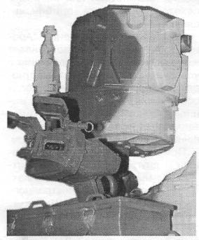 T8090003.jpg