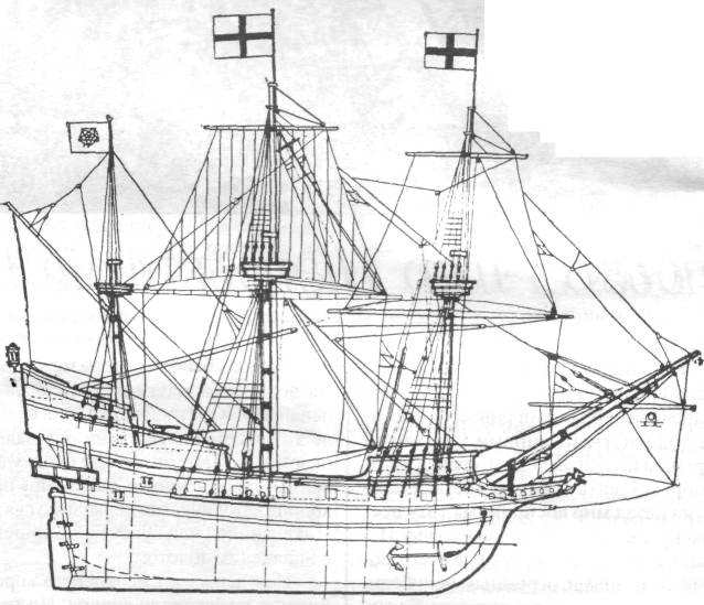 ViNpb003.jpg