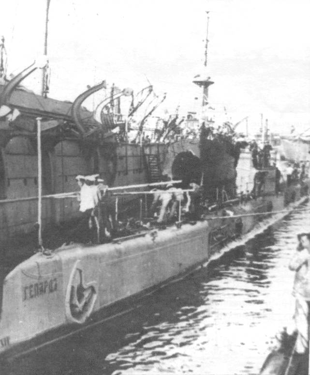 RPL18125.jpg