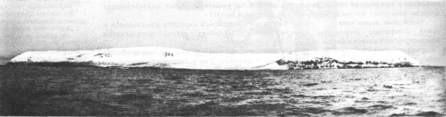 SofiTerr001.jpg