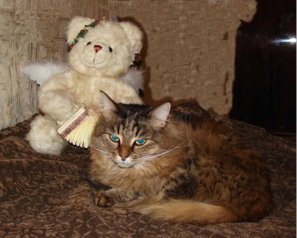 Angel Cat